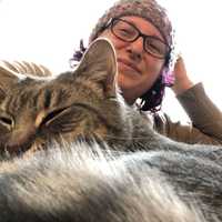 Author picture